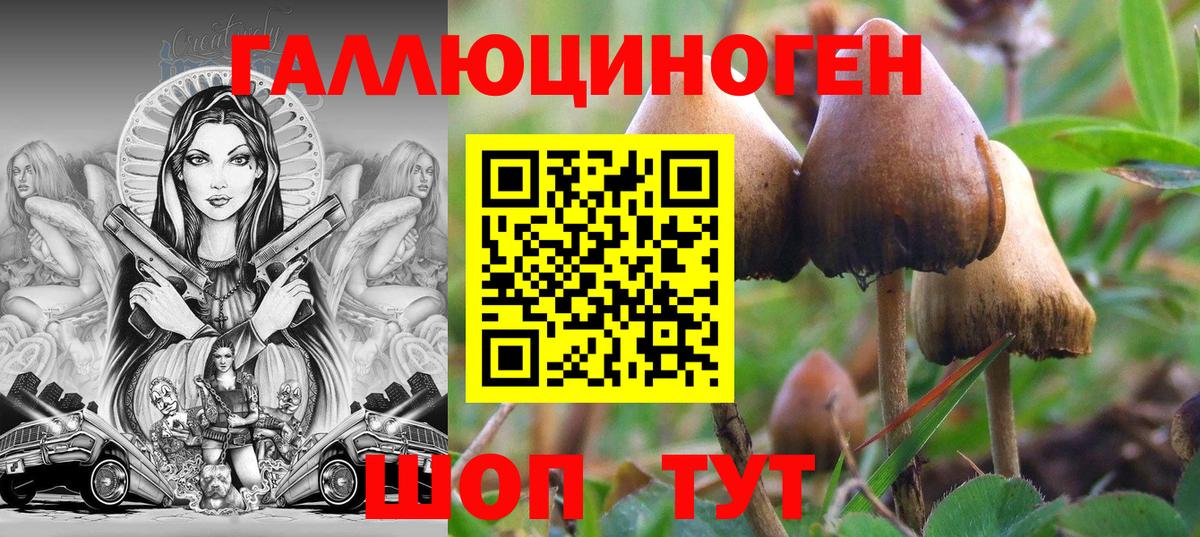 Галлюциногенные грибы мицелий Невинномысск